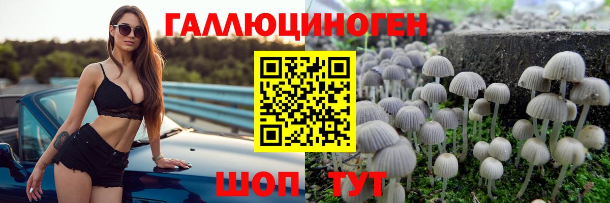 Карачаевск  Псилоцибиновые грибы GOLDEN TEACHER  Вход с VPN 