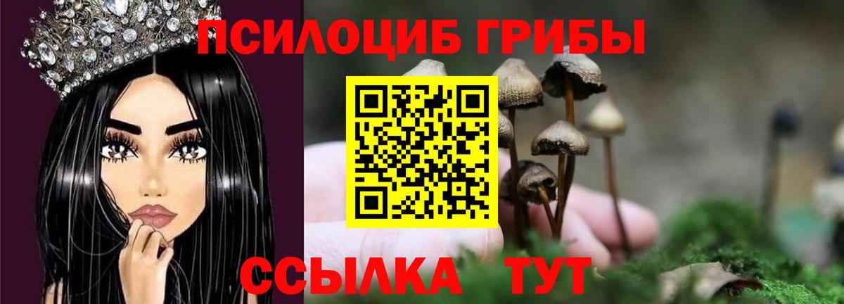 Псилоцибиновые грибы прущие грибы Карачаевск