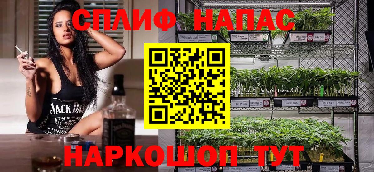 Шишки марихуана сатива  Каннабис MAZAR  Карачаевск  Вход с VPN  Конопля White Widow 